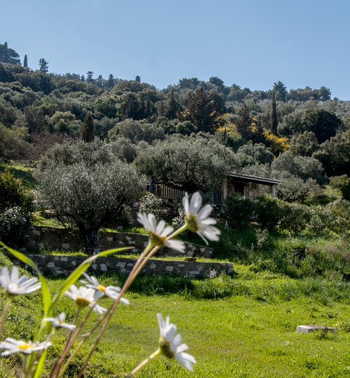 Villa Collina Vasilikos  Exterior photo